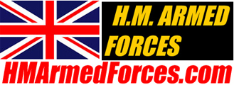 HM Armed Forces: Return to Base